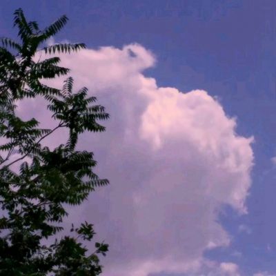 蒂娜的明星日记小游戏下载